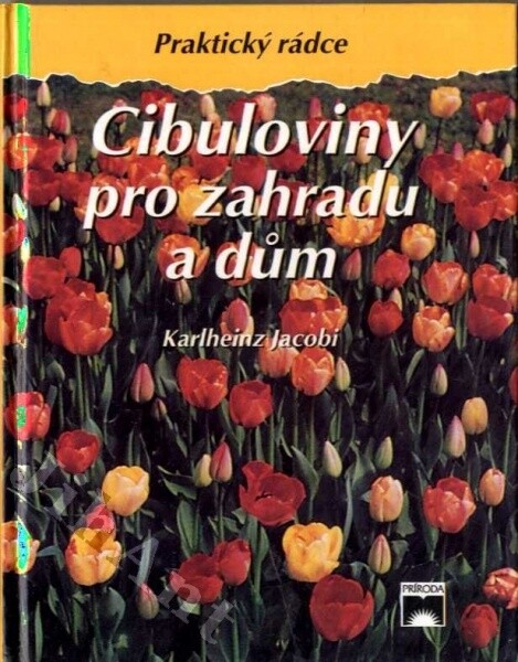 Cibuloviny pro zahradu i dům