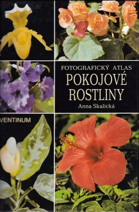 Pokojové rostliny