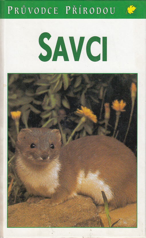 Savci