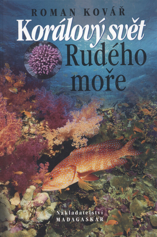 Korálový svět Rudého moře