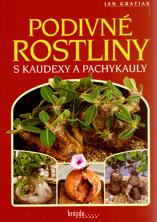 Podivné rostliny s kaudexy a pachykauly