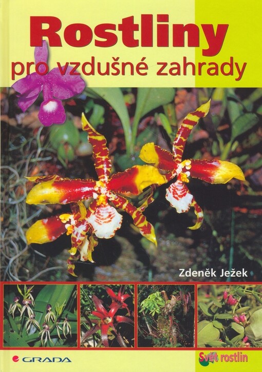 Rostliny pro vzdušné zahrady