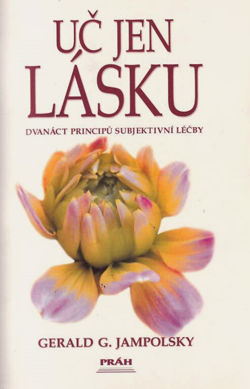 Uč jen lásku : dvanáct principů subjektivní léčby