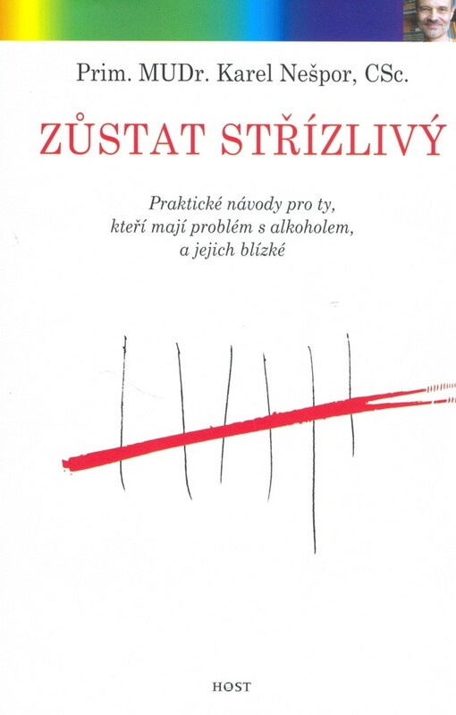 Zůstat střízlivý : praktické návody pro ty, kteří mají problém s alkoholem, a jejich blízké