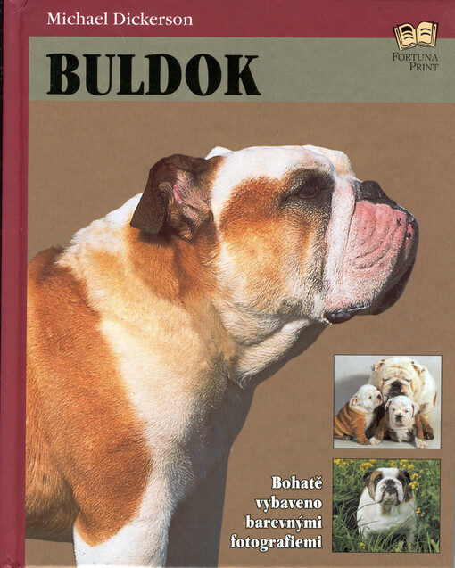 Buldok