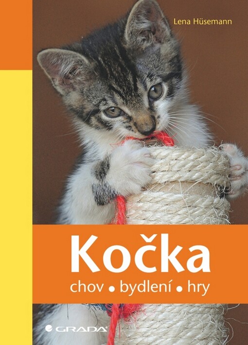Kočka: chov, bydlení, hry