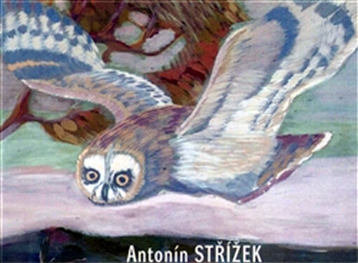 Antonín Střížek : [Oblastní galerie Vysočiny v Jihlavě 23.2.-2.5.2010