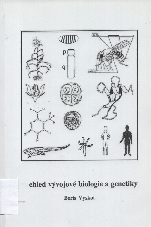 Přehled vývojové biologie a genetiky