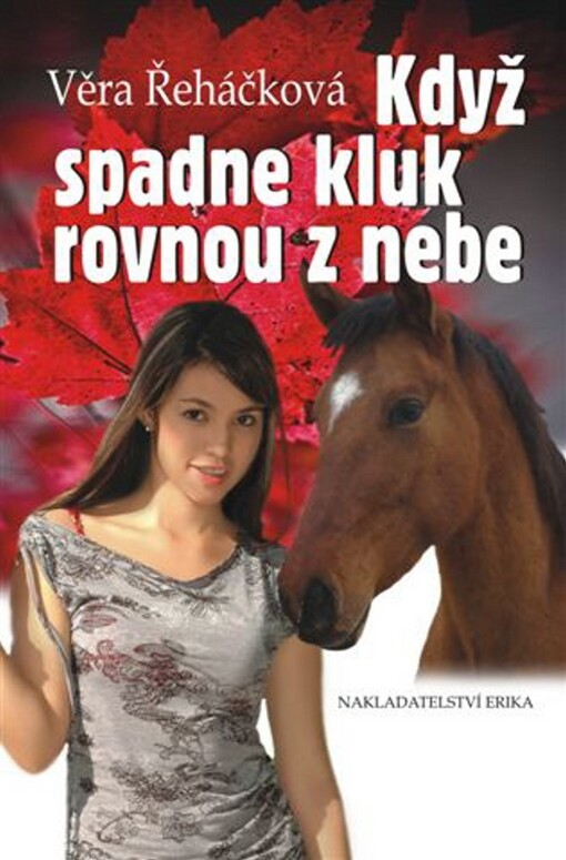 Když spadne kluk rovnou z nebe: dívčí román