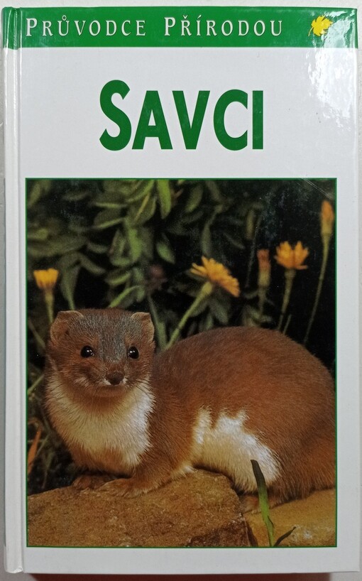 Savci