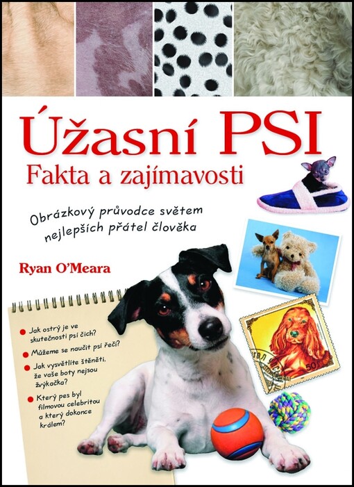 Úžasní psi : fakta a zajímavosti : obrázkový průvodce světem nejlepších přátel člověka