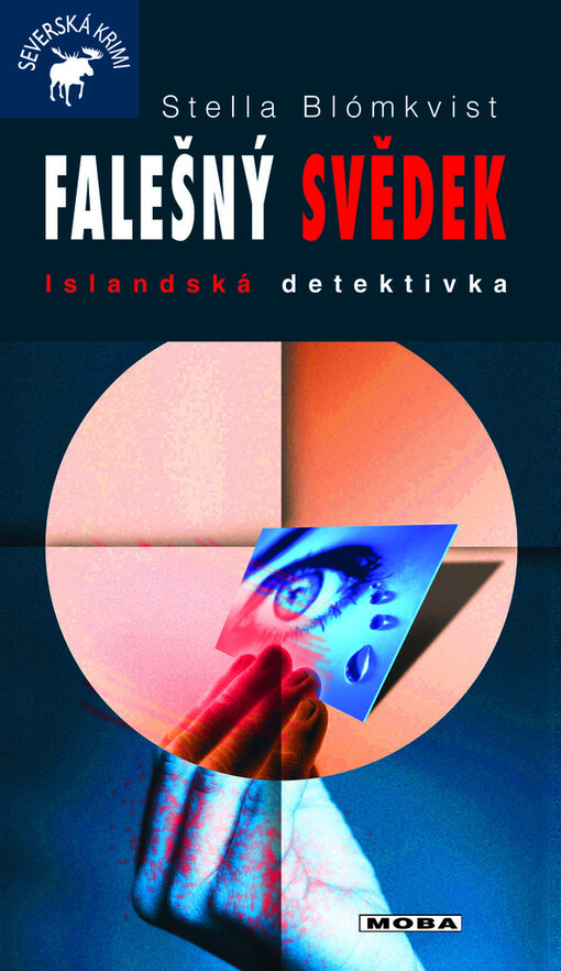 Falešný svědek :islandská detektivka