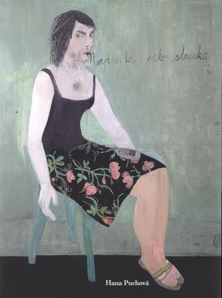 Jsme tady : [Hana Puchová