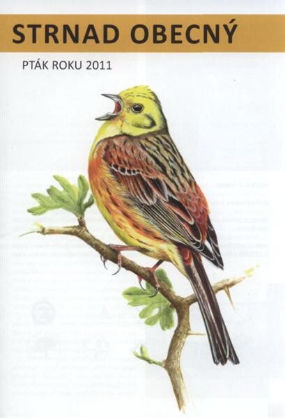 Strnad obecnŽ - pták roku 2011 