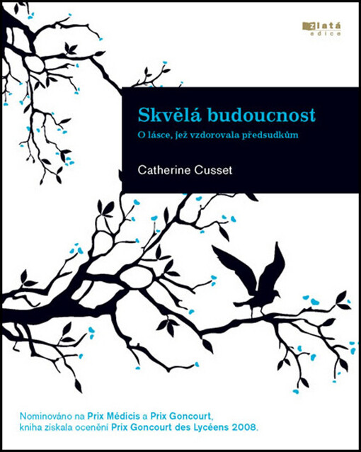 Skvělá budoucnost : o lásce, jež vzdorovala předsudkům
