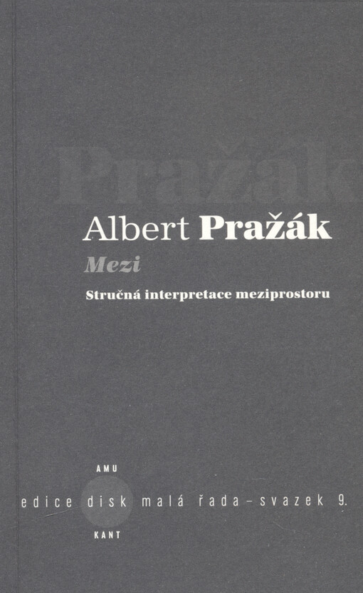 Mezi : stručná interpretace meziprostoru