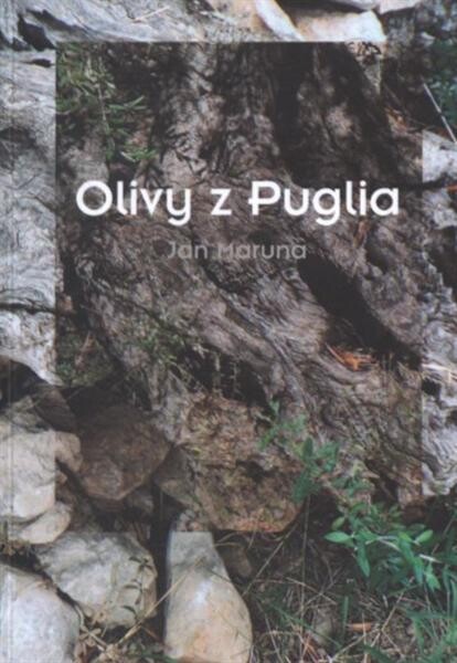 Olivy z Puglia 