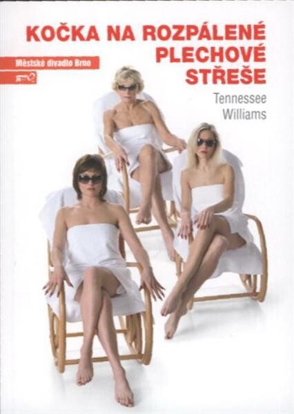 Tennessee Williams, Kočka na rozpálené plechové střeše : sedmá inscenace šedesáté čtvrté sezony 2008/2009 : premiéra 28. února 2009 na Činoherní scéně Městského divadla Brno