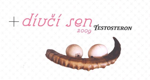 Dívčí sen 2009 : testosteron : jaro 2009, Národní divadlo v Brně - Reduta : zima 2009/10, Oblastní galerie Vysočiny, Jihlava : zima 2010, Galerie Synagoga, Hranice na Moravě
