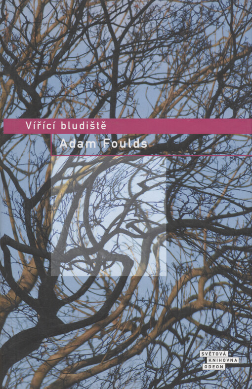 Vířící bludiště