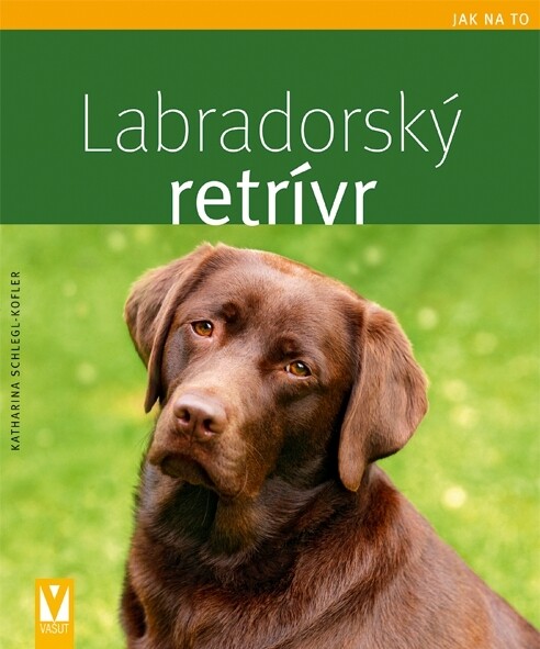 Labradorský retrívr - Jak na to