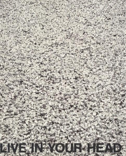 Live in your head: Vito Acconci, John Armleder, Robert Barry ... : Heiligenkruezerhof, 9. Janner-12. Februar 1993