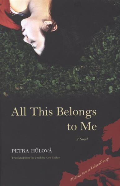 All this belongs to me : a novel