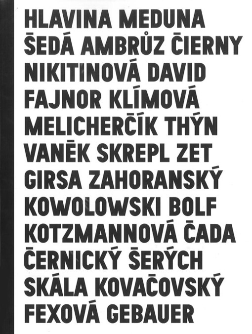 Šestý Nový zlínský salon 2011