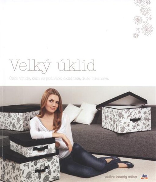 Velký úklid : čisto všude, kam se podíváte: úklid těla, duše i domova