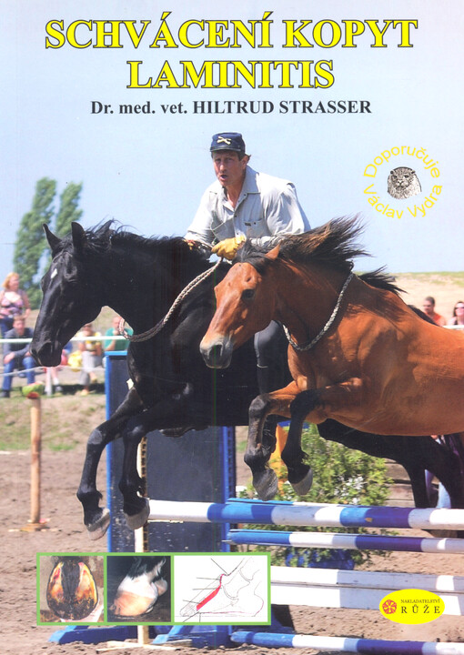 Schvácení kopyt - laminitis