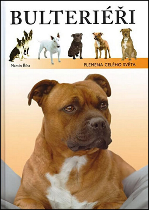 Bulteriéři: plemena celého světa