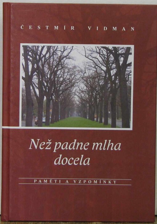 Než padne mlha docela : (paměti a vzpomínky)