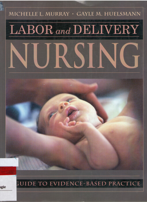 Labor and delivery nursing : a guide to evidence-based practice