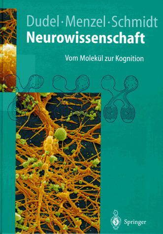 Neurowissenschaft. Vom Molekül zur Kognition