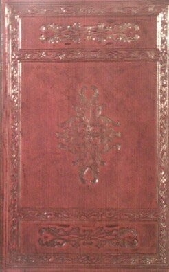 Night frost in Prague : the end of humane socialism