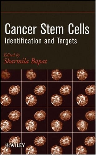 Cancer stem cells : identification and targets