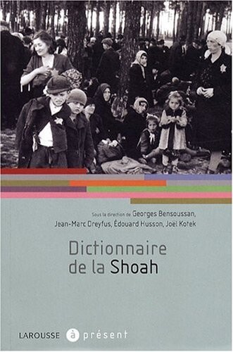 Dictionnaire de la Shoah (French Edition)