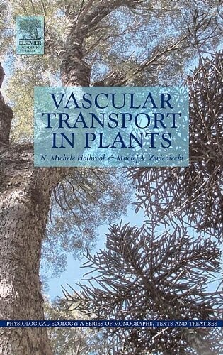 Vascular transport in plants