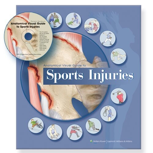 Anatomical visual guide to sports injuries