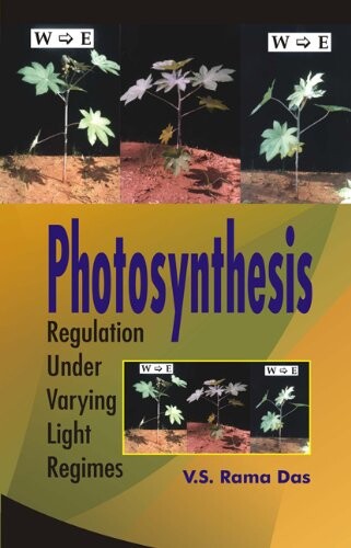 Photosynthesis: Regulation Under Varying Light Regimes