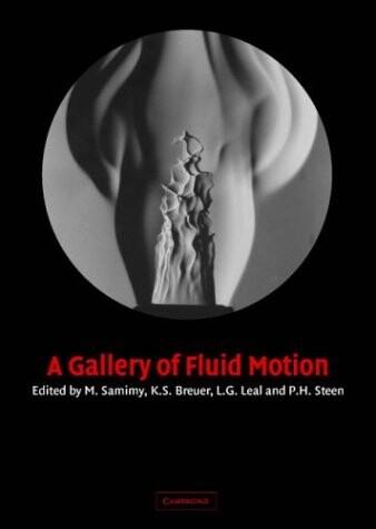 A gallery of fluid motion