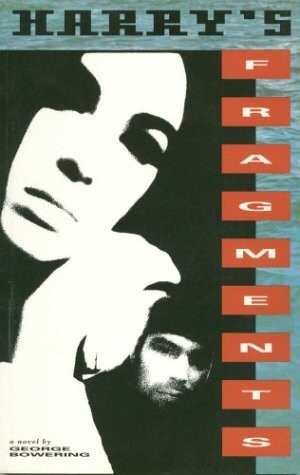 Harry's Fragments: A Novel of In
