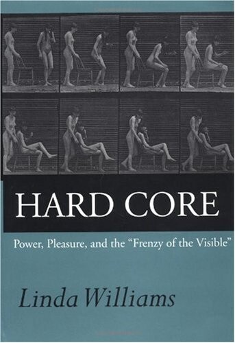 Hard Core: Power, Pleasure, and the 