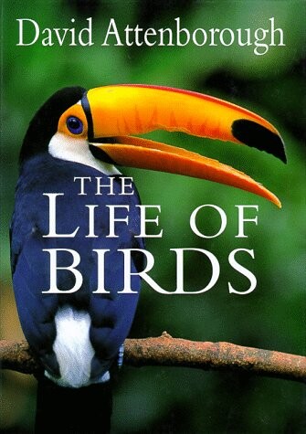 The life of birds