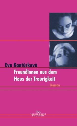 Freundinnen aus dem Haus der Traurigkeit : Roman