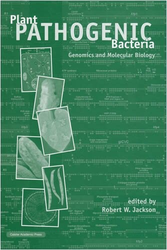 Plant Pathogenic Bacteria: Genomics and Molecular Biology