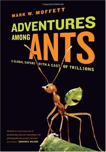 Adventures among Ants : a global safari with a cast of trillions