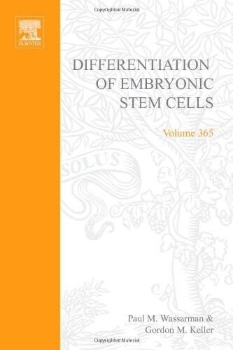 Differentiation of embryonic stem cells