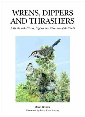 Wrens, dippers and thrashers