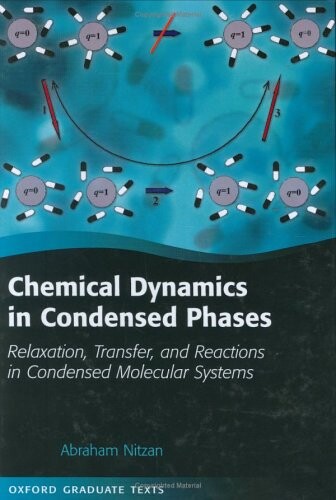 Chemical dynamics in condensed phases :relaxation, transfer and reactions in condensed molecular systems